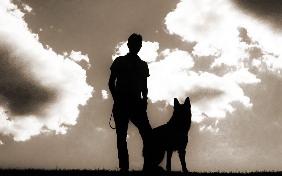 真実を突き止めるイメージ画像