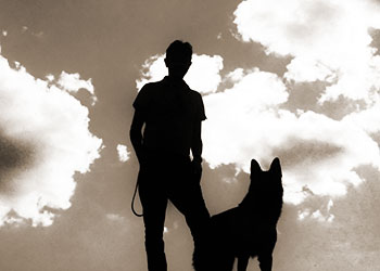 真実を突き止めるイメージ画像